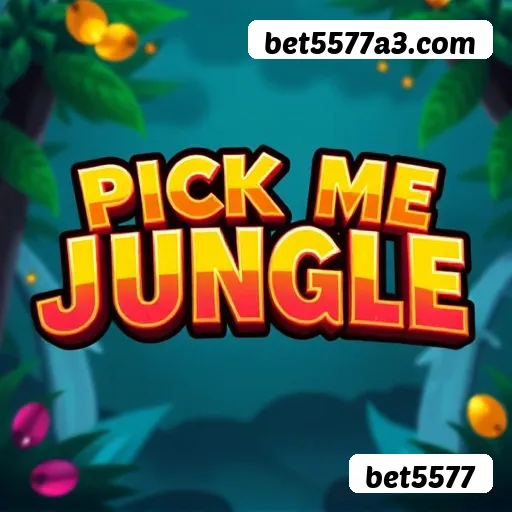 Guia rápido de apostas ao vivo na bet5577